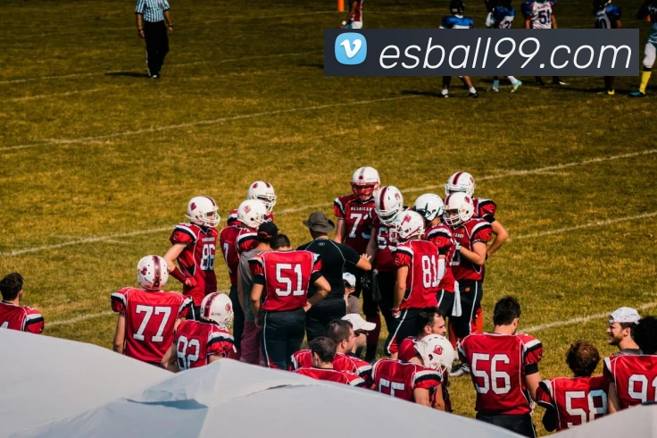 e世博体育服务体系