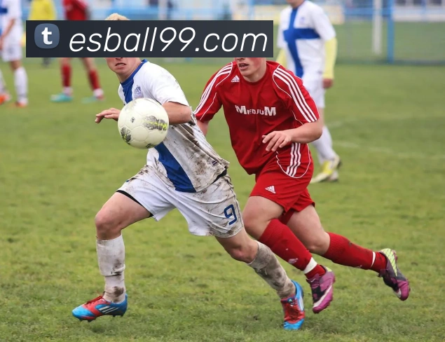 多媒体互动体验